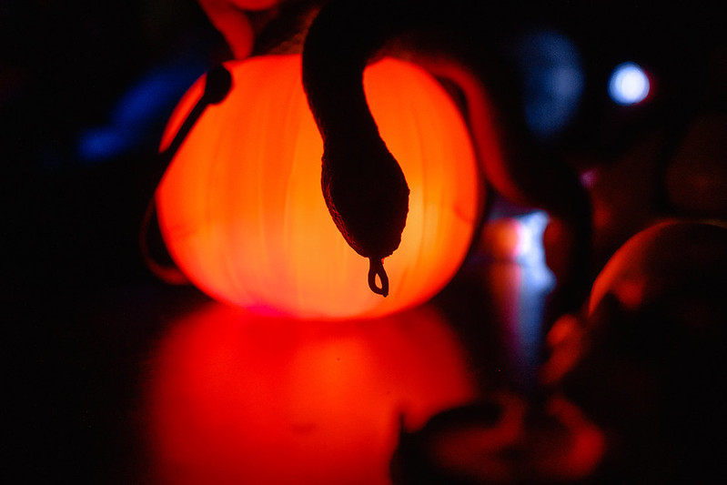 Украшение дома паутиной и летучими мышами к Хэллоуину в Благовещенске